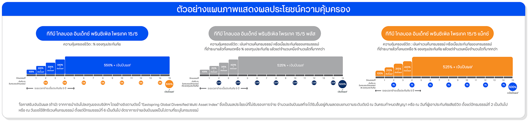 ตัวอย่างแผนภาพแสดงผลประโยชน์ความคุ้มครอง