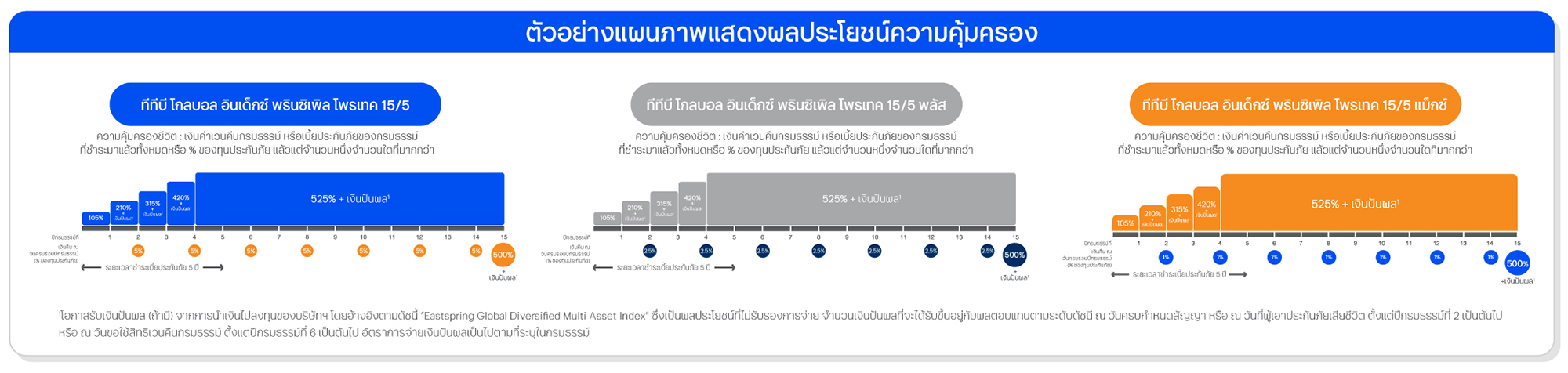 ตัวอย่างแผนภาพแสดงผลประโยชน์ความคุ้มครอง