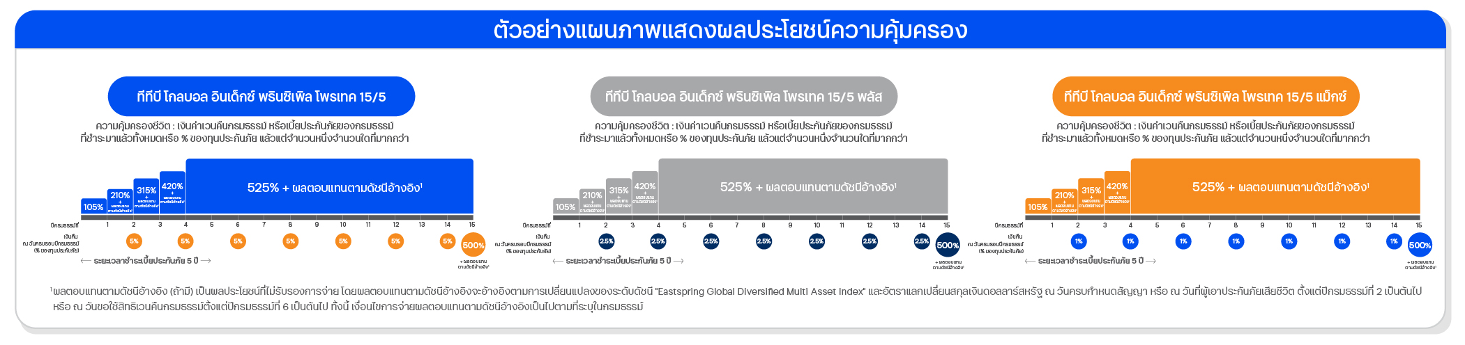 ตัวอย่างแผนภาพแสดงผลประโยชน์ความคุ้มครอง