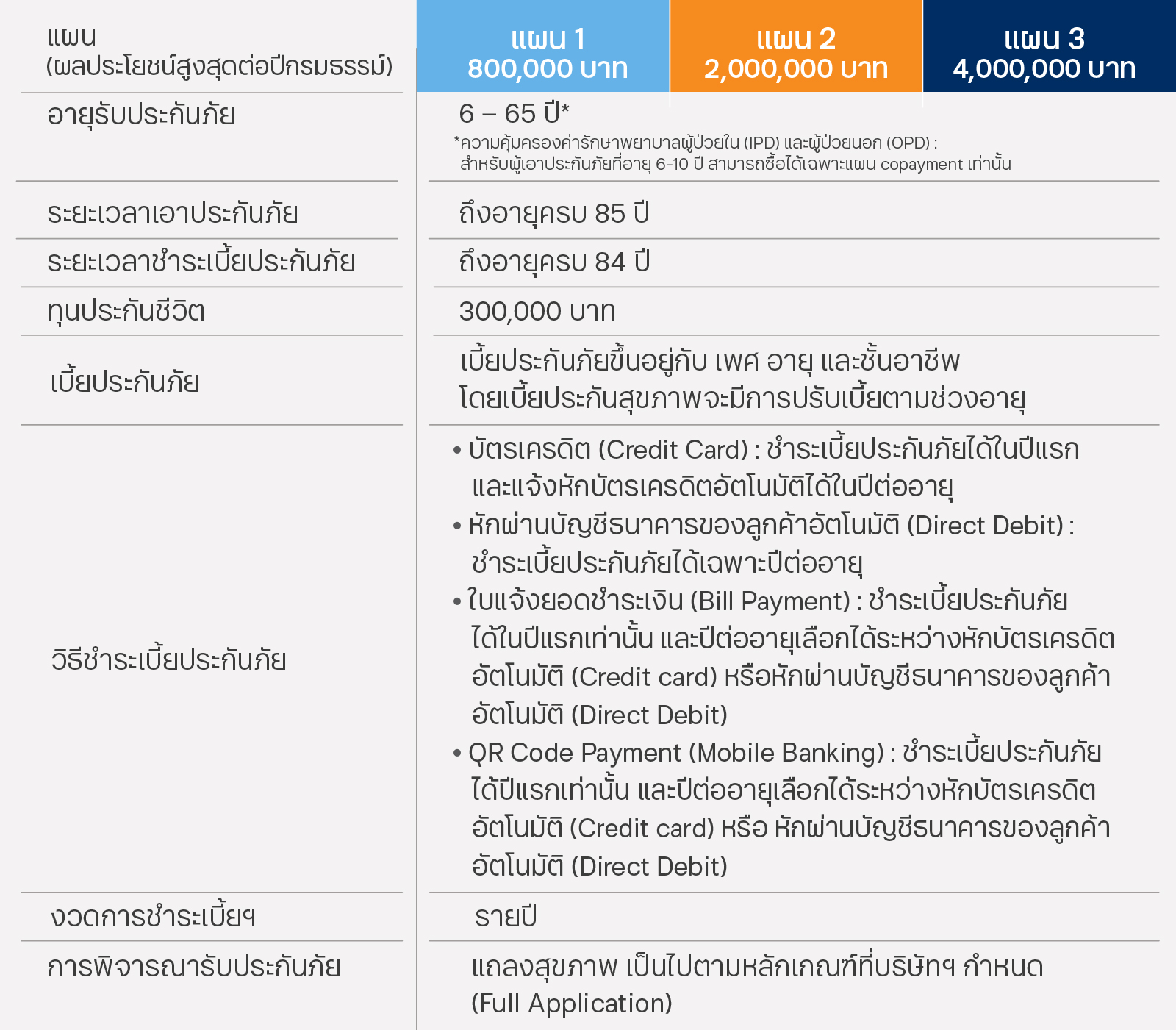 ประกันชีวิตและสุขภาพ ทีทีบี ประกันเหมาจบ ๆ @BDMS รายละเอียดแบบประกันโดยย่อ