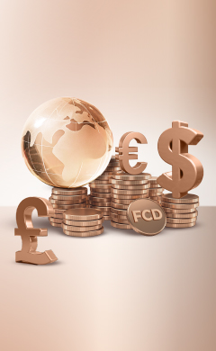 บัญชีเงินฝากเงินตราต่างประเทศ ทีทีบี ประเภทฝากประจำ