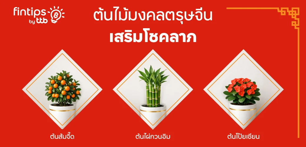 ต้นไม้มงคลวันตรุษจีน