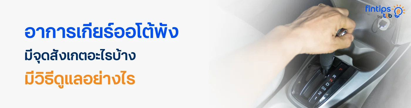 banner image