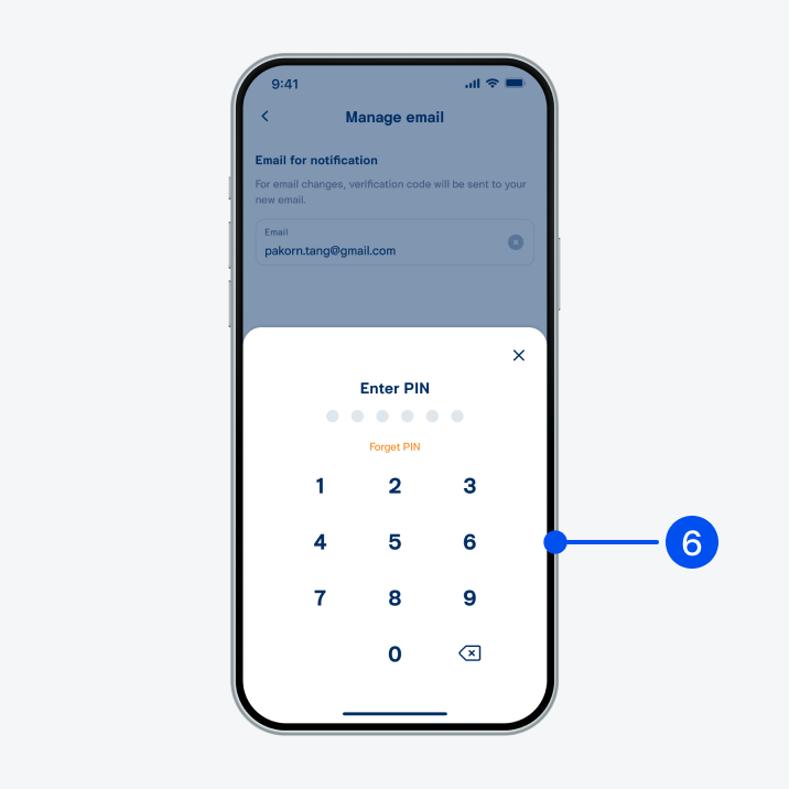 Enter PIN to confirm.