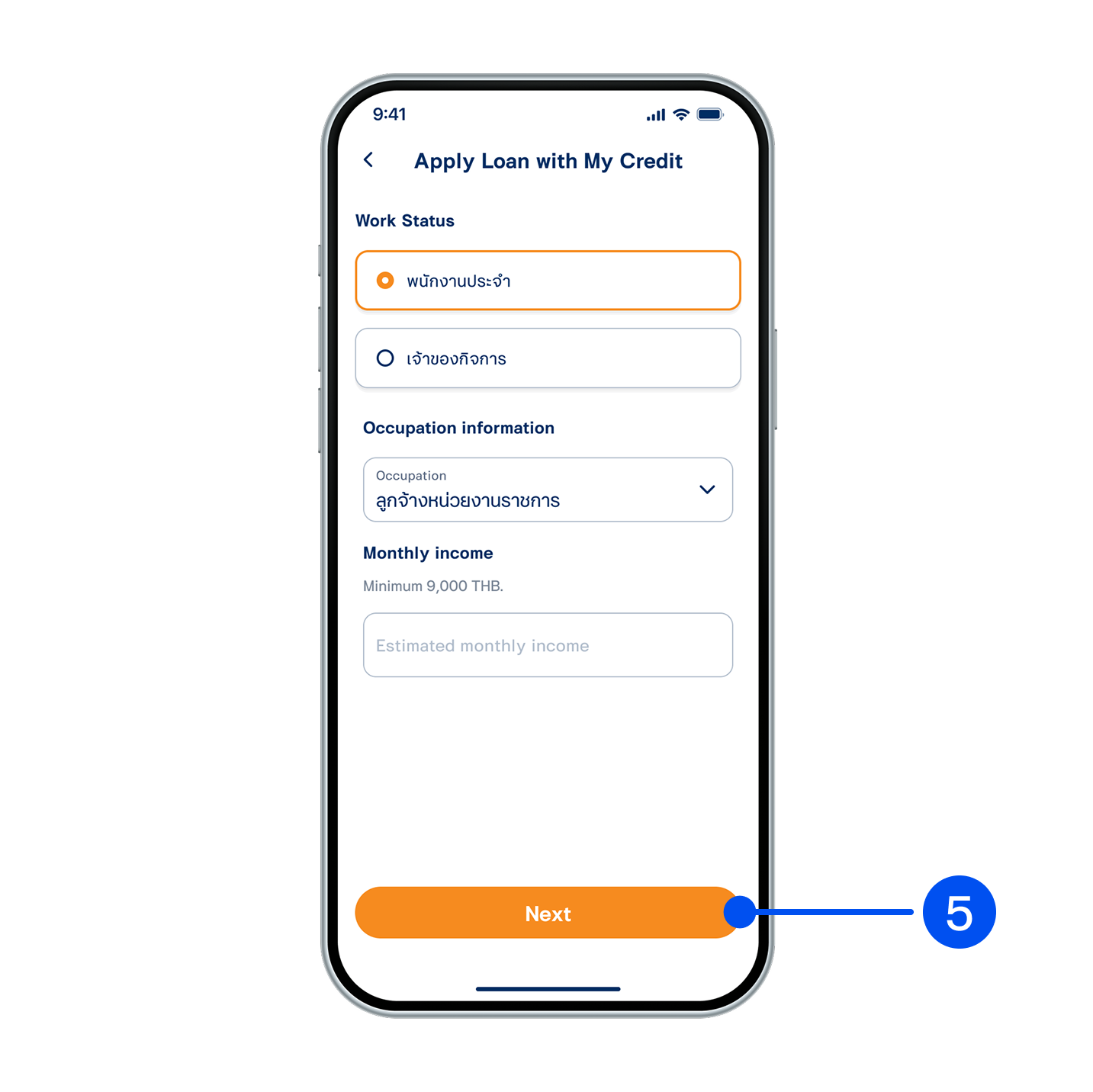 Provide your occupation and income information, then select “Next”