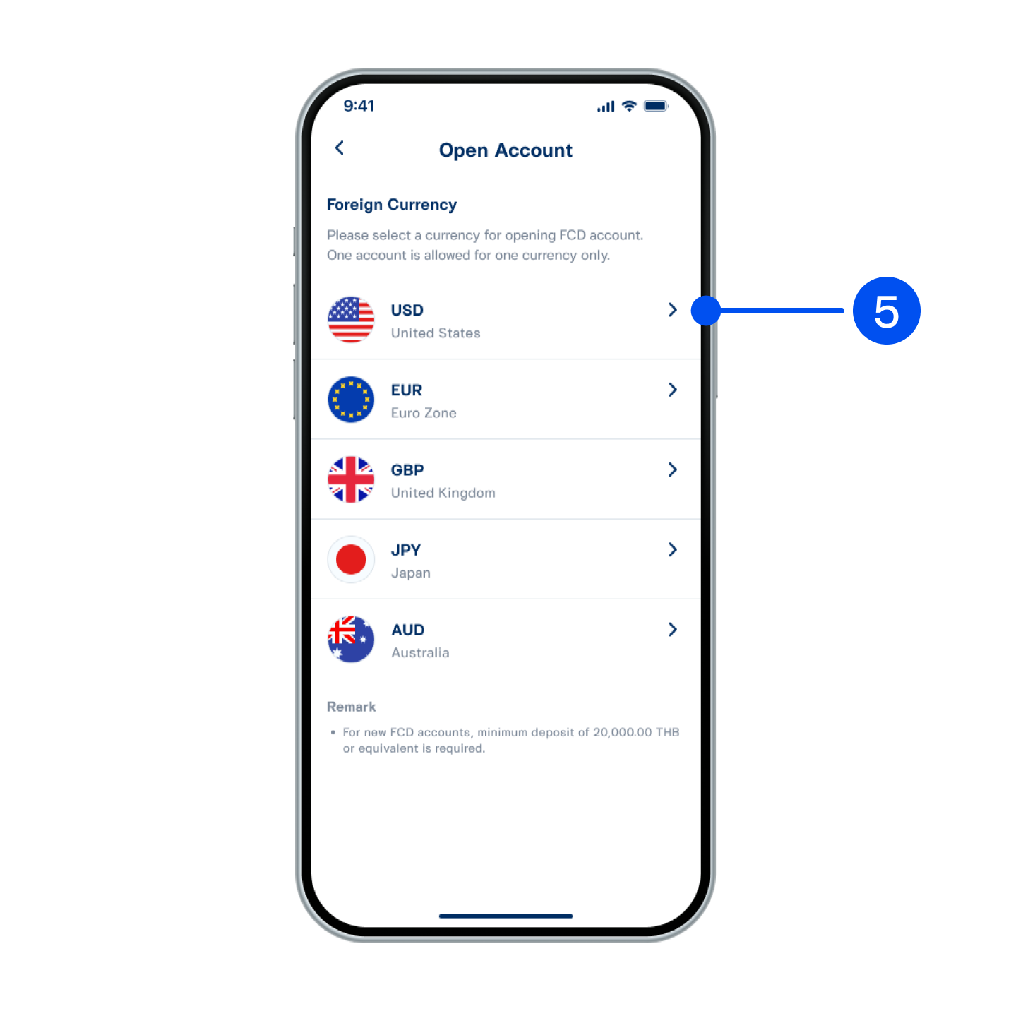 5. Select a currency for your account (1 account/1 currency). Supports up to 5 currencies: USD, EUR, AUD, GBP, JPY.